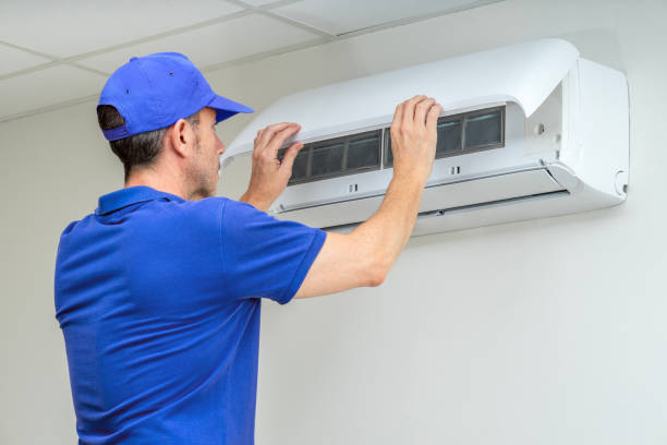 Best Air Duct Mold Removal  in Winnie, TX
